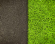 grass