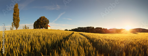 Photo: Sunset over wheat field with path and chapel in Slovakia Sunset over wheat field with path and chapel in Slovakia