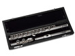 Flute in box Isolated on White