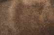Fur