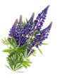 Flying blue flowers