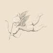 Angel - Raphaelo