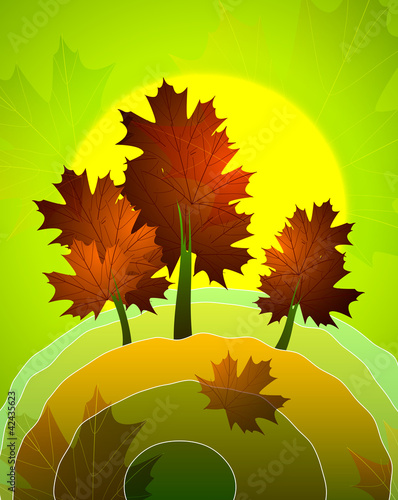Vector: Summer maple tree Summer maple tree