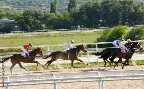 Foto: Horse racing. Horse racing.