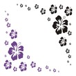 Blumenregen - Megaset
