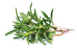 Thyme  fresh herb