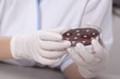 Lab scientist with petri dish