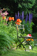 Garten Stuhl Blumen Beet bunt