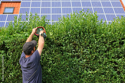 Foto: Gartenarbeit, Hecke schneiden, Solar Gartenarbeit, Hecke schneiden, Solar
