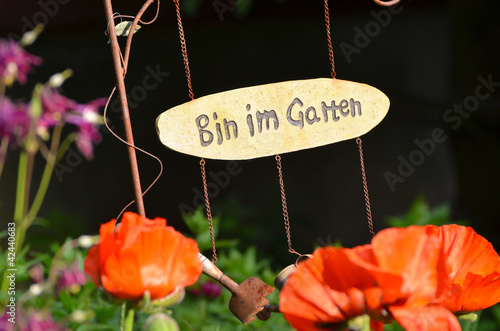 Foto: Garten Blumen Beet bunt Garten Blumen Beet bunt