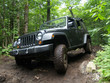 4wd, sur route en forêt