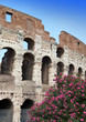 Italy. Rome. The ancient Collosseo