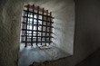 Prison bars