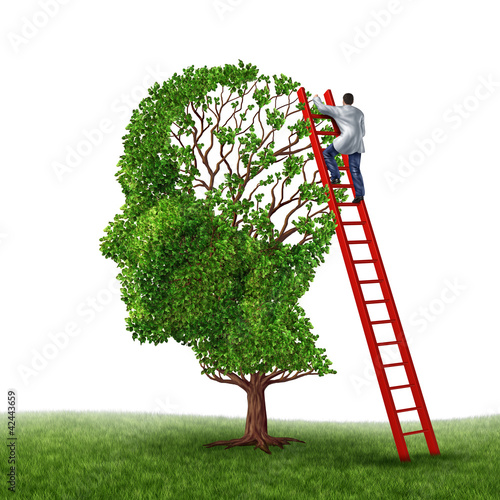 Illustration: Brain Exam Brain Exam