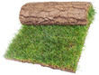 Roll of Grass Rug