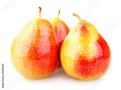 Foto: ripe pears ripe pears