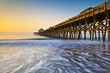 Folly Beach Pier Charleston SC Atlantic Ocean Sunrise