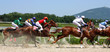 Horse racing.