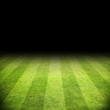Fussballrasen