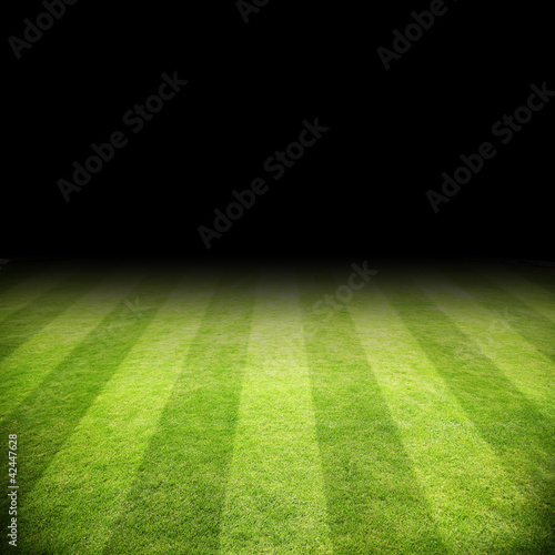 Photo: Fussballrasen Fussballrasen