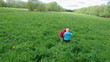 Vídeo: boy and small girl on meadow with dandelio boy and small girl on meadow with dandelio