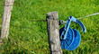 campagne,cloture à vaches