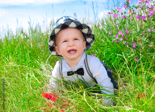 Foto: im feld im feld