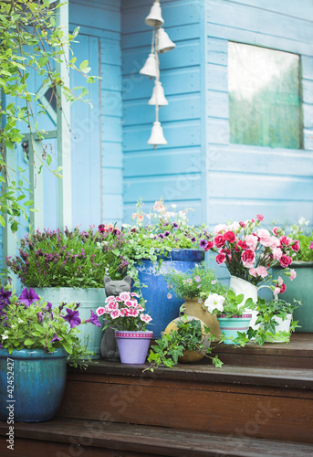 Foto: Summer potted flowers and garden shed Summer potted flowers and garden shed