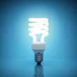 Illustration: Illuminated light bulb Illuminated light bulb