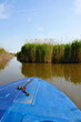 a part of a blue boat on the muddy lake