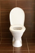 Toilet in the bathroom