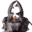 Photo: insect stag beetle insect stag beetle