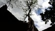 ta phrom