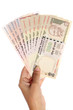 Hand holding Indian rupee notes on white background