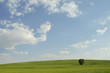 Summer landscape with green grass, road and clouds