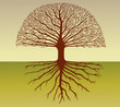 Tree silhouette with roots