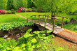 Photo: Old wooden bridge in a beautiful garden Old wooden bridge in a beautiful garden