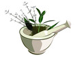 Medical mortar and pestle with herbs