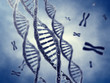 Dna double helix molecules and chromosomes