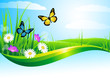summer landscape