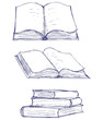 Vector illustration of books isolated on the white background