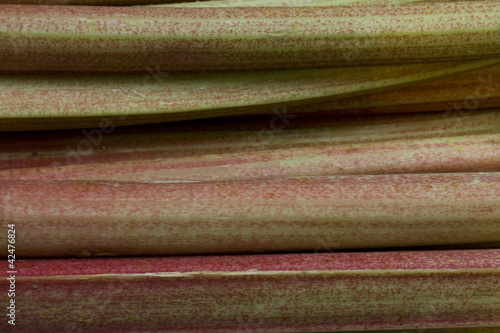 Photo: Rhubarb stems Rhubarb stems