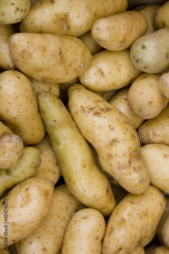Photo: Ratte patatoes Ratte patatoes