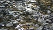 Fliessendes Wasser