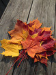 Photo: Autumn theme Autumn theme