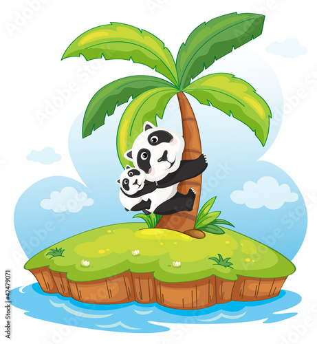 Vektor: Panda island Panda island