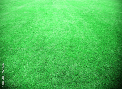 Foto: Grüner Fussballrasen Grüner Fussballrasen