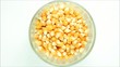 Video: Seed Corn in a glass,Time Lapse Seed Corn in a glass,Time Lapse