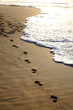Foto: Sandspuren Sandspuren