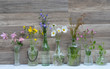 Foto: Kräuter Wiesenblumen Vase Kräuter Wiesenblumen Vase